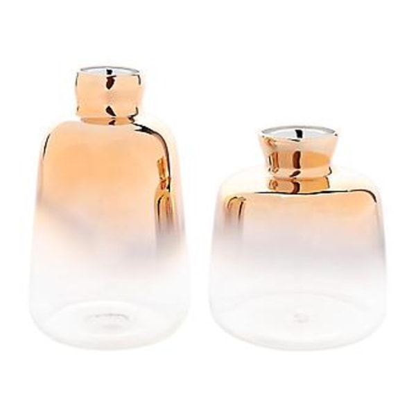 2-pack Glasvas Elektropläterad Vas Glasblomvaser För Hem R Torkad Blomma Bot