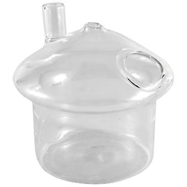 -sd Riippuva lasinen istutusruukku Rumble Tank Terrarium -astia kotiin En R