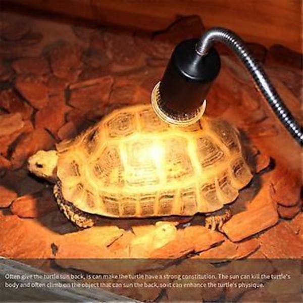 10 stk. Reptil Lampe Pære Skildpadde Solbadning UV Lys Pærer Varme Lys Fuld Spektrum Sollampe til Padder, 25W