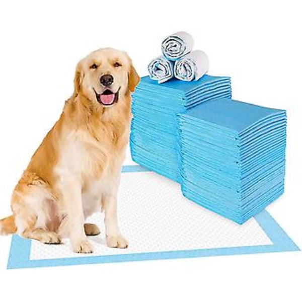 Hvalpe Træningspuder Til Hund Kæledyr Tis Absorberende Toilet Tissemåtte Skridsikker Lækagesikker (40 Pakke - 60 * 60cm)