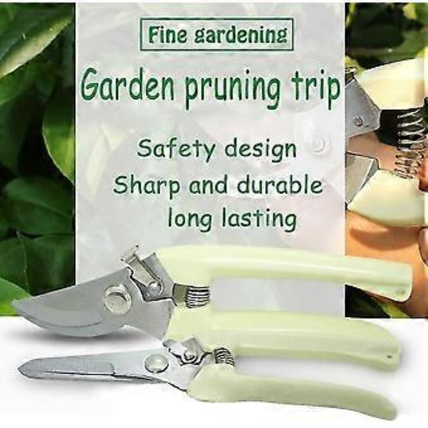Havebeskæringssakse - 2 stk. Micro-Tip Saks med Blomsterdyrkning med Rustfrit Stål W