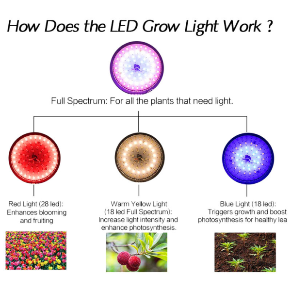 50W Full Spectrum Plantevækst LED-pærer Fjernbetjening Dæmpbar Phyto-lampe med Timer E26 Drivhustelt Ingen Glas