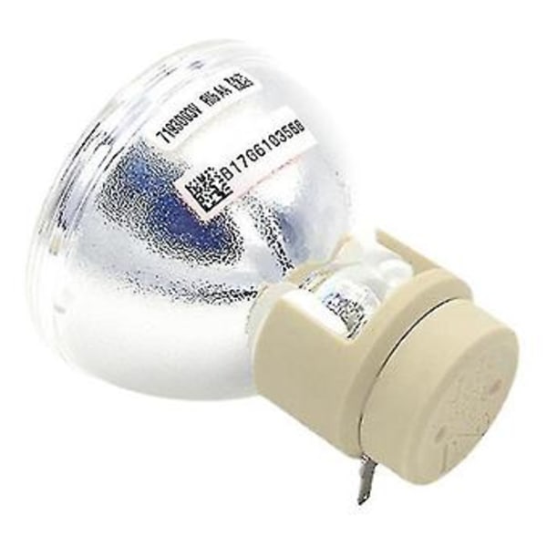 Kompatibel med W1070 W1070+ W1080 W1080st Ht1085st Ht1075 W1300 Projektorlampa Glödlampa 240/0.8 E20.9n