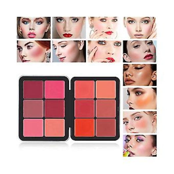 12-färgs Rougepalett Hudvänlig Ljusare Hy Multicolor Rogue Plate Concealer Plate