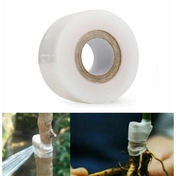 120m 30mm Wide Grafting Tape for Copulation Grafting Transparent