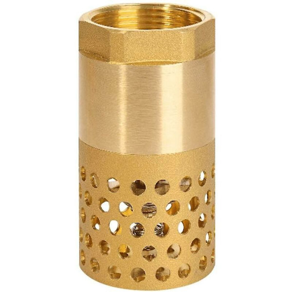 1 tommer pumpe tilbageslagsventil - fodventil tilbageslagsventil (1 tommer)
