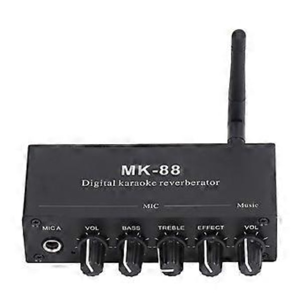 Digital Reverb Stereo Förstärkare Bluetooth 5.0 Dubbel Mikrofoningång DC 12V