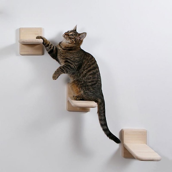 1 st kattvägg stativ DIY kattvägg katt stege
