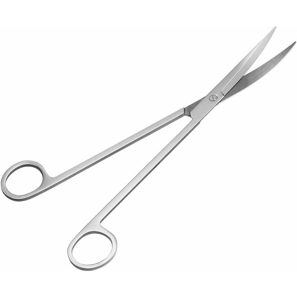 Akvariumväxt Saxar Rostfritt Stål Vågsaxar för Fisktankväxter 25CM