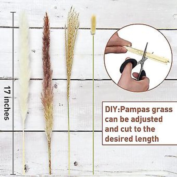 85 stk. Tørket Pampasgress R Pompass Gress Grener Tørket Bukett Boho Hjem R