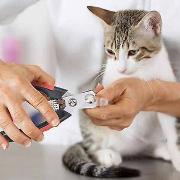 Kæledyrstrimmerklipper af mindre stål til kæledyrspleje af hunde, katte, S, S osv.