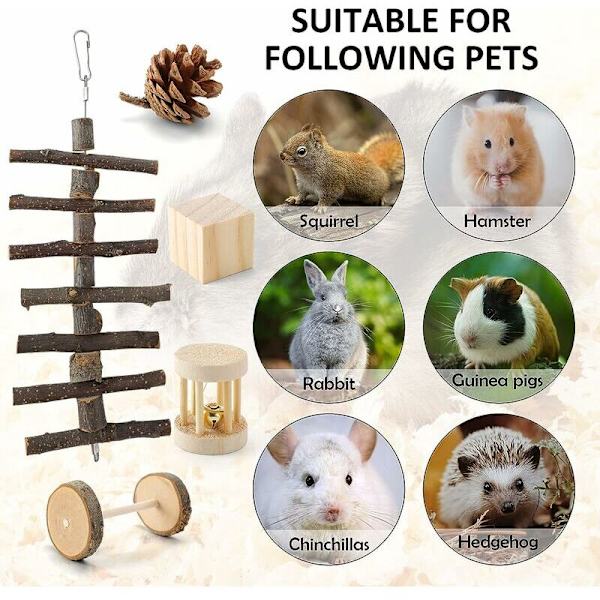 Dværg Kanin Legetøj (12 Stykker), Naturligt Træ Hamster Legetøj, Indendørs Gnaver Legetøj til Små Dyr Kanin/Hamster/Egern/Chinchilla