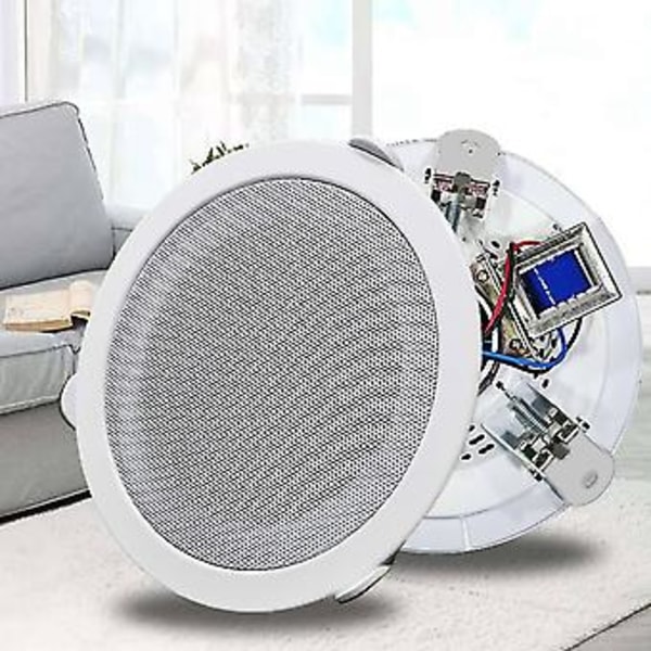 5 Tommer Loft Ser 10w Høj Ser Lyd