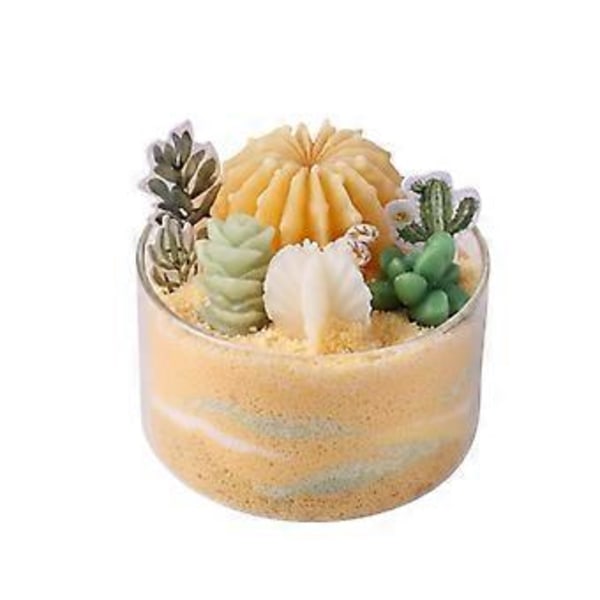 Aromaterapi ljus gör-det-själv suckulent växt kaktus sandmålning ljus handgjort inomhus bröllops souvenir födelsedagsljus alla hjärtans dag present