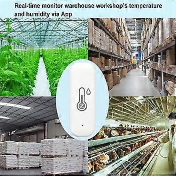 Tuya Smart Zigbee Temperatur- och Fuktighetssensor Inomhus Hygrometer APP Fjärrövervakning i Realtid Fungerar med Alexa