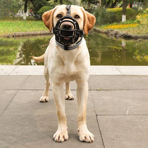 Hunde snude, Snude, Kurv Snude til små, mellemstore og store hunde med justerbare stropper (M, Sort)
