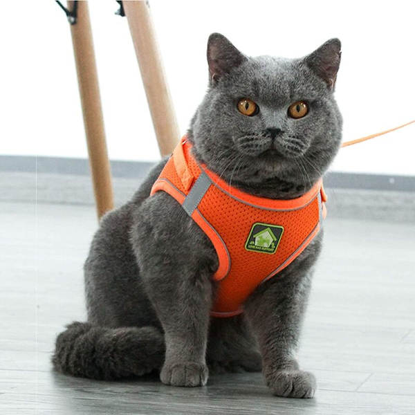 Katteseler og snore - Kattesele Anti-Escape Reflekterende Justerbar Kattesele Åndbar Vest Lille Hundesele (M)