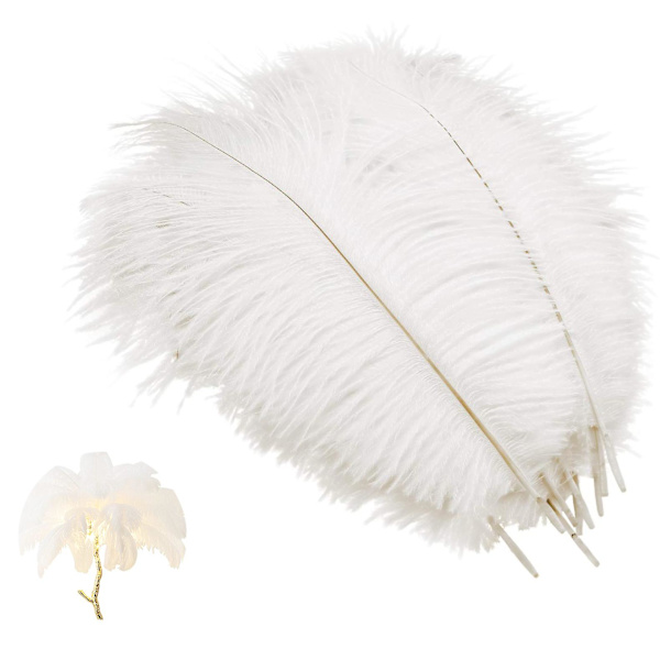 Mwoot 10 stk. naturlige strudsefjer, strudsefjer til bryllup, fest, borddekoration (hvid, 25-30 cm)