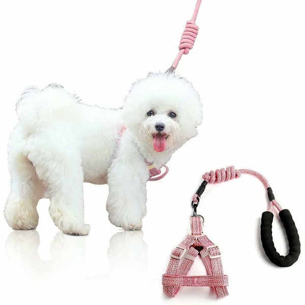 No Pull Dog Harness, Harness and Leash Set