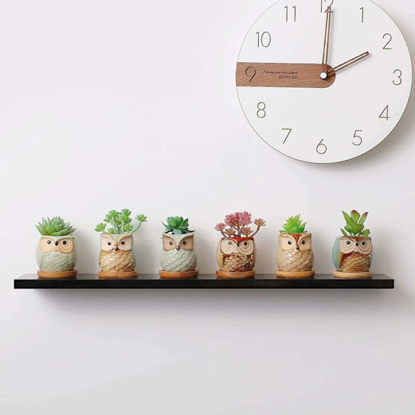 0,5 cm keramisk plantepotte, sukkulentpotte med bambusbrett og ugleform, sett med 6, med dreneringshull, plantepotte for hjemshylle, kontor