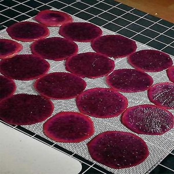 Dehydrator Ark Til Mad Dehydrator, 10 Stk 29x37cm, Silikone Ark, Frugt Dehydrator Måtter, Silic