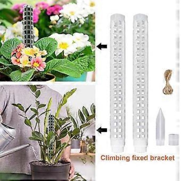 Plast Moss Pinne, Förlängd till 63,5 cm, Vitmossa Ingår i Växtpinnen, Moss Pinne för Växter, Moss Pinnar, B