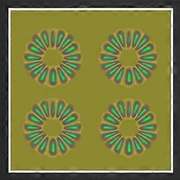 Magnetisk feltvisningsfilm, magnetisk feltdetektor for å se magnetiske felt for vitenskapelig prosjektundervisning 10 x 10 cm