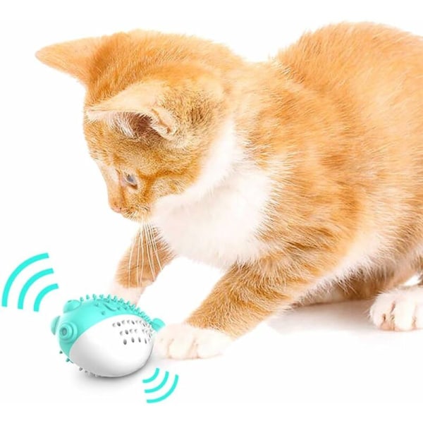 Kattandborste leksak, katt leksak sili molar leksak tugga kon leksak kattunge kattmynta tandborste fiskform interaktiv leksak katt tandhygien(Blå)-Fei Yu