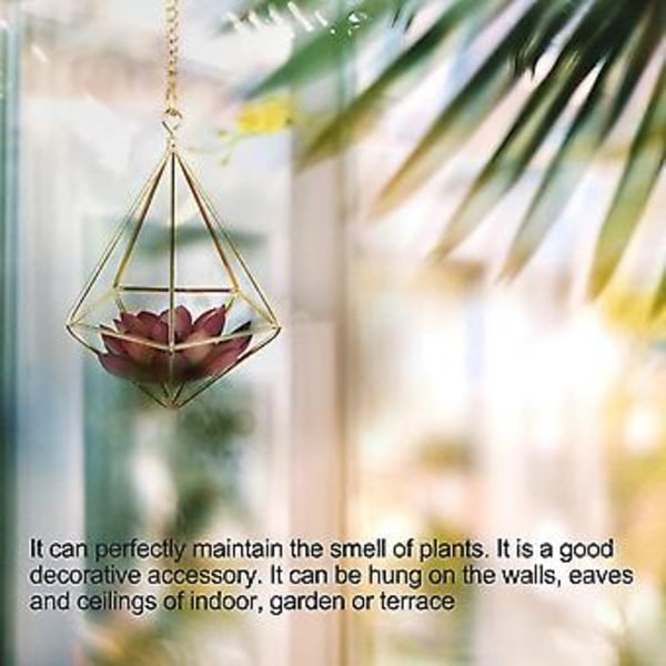 6 st Nordisk Stil Hängande Tillandsia Luftväxtställ Vägghängande Geometrisk Metall Tillandsia Luftplanta