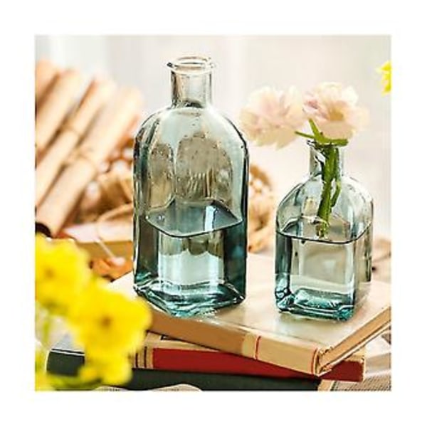 Transparent S Hydroponisk Glasflaska Bord Hem Hantverk Ornts Blomma Ce