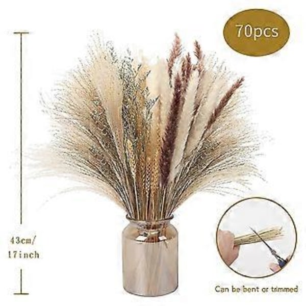 70 stk. Naturlig Pampasgress Dekor, 43 cm Tørket Pampasgress Dekor - 5 Farger Praktfullt Pampasgress Planter for Blomster