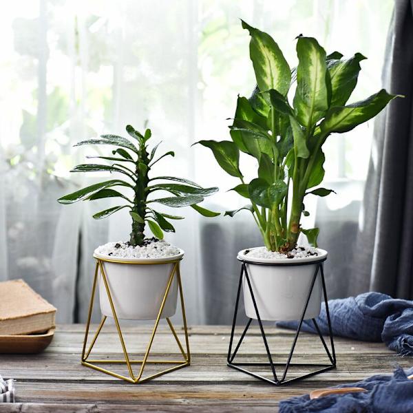 Innendørs Planter Potte 6 Tommer Moderne Hage Keramisk Rund Skål med Metall Luftanlegg Holder for Kaktus Sukkulent Planter (Hvit+Svart)
