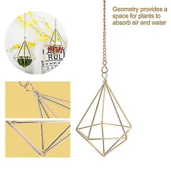 6 st Nordisk Stil Hängande Tillandsia Luftväxtställ Vägghängande Geometrisk Metall Tillandsia Luftplanta