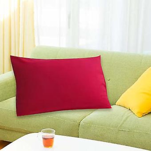 30x50cm Enfärgad Bekväm Hudvänlig Örngott Kudde Överdrag för Soffa Hem Användning (Typ 5)