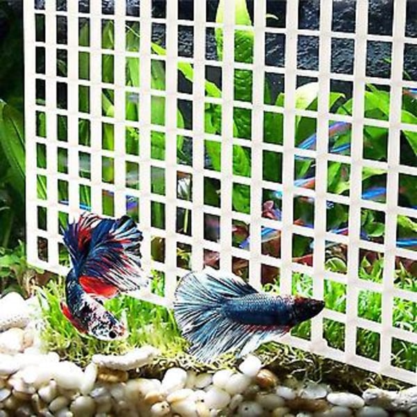 10 stk Akvarium Skillevegg Fisketank Skillevegg Filter Gitter Separasjon Gitterbrett Isolasjonsplate Gitter Wit