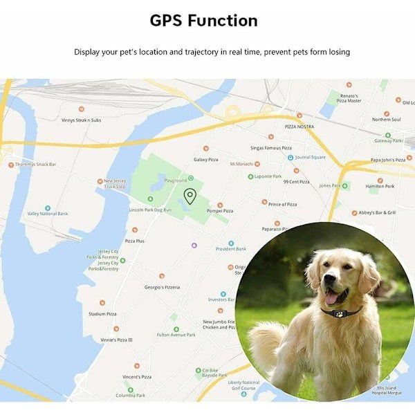 GPS-spårare för hundar och katter, realtidsspårning, krage med appkontroll, aktivitetsmonitor, vattentät GPS-spårare för hundar
