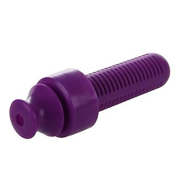 550ml Utomhus Vattenflaska med Filter, Lila