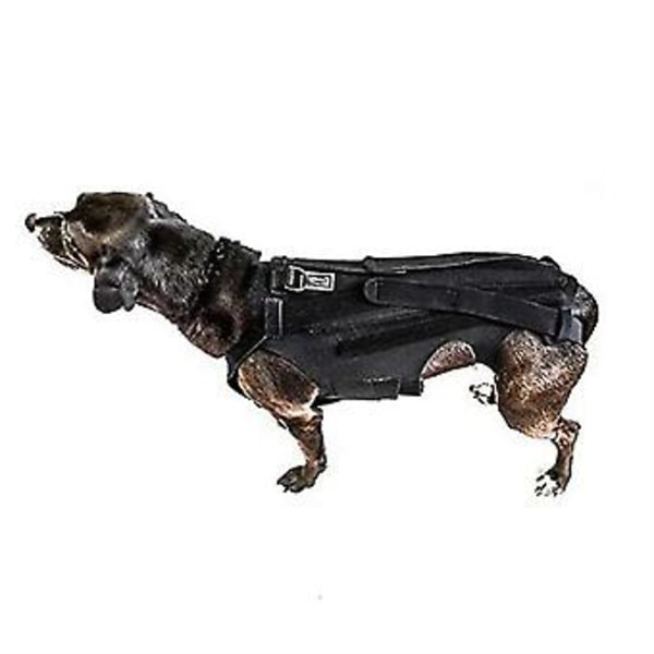 Ryggstöd för hundar vid IVDD, Bekvämt ryggstöd Helkroppssele Hundkläder Hundryggskydd S