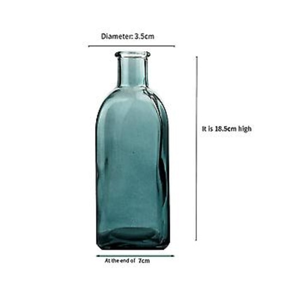 Transparent S Hydroponisk Glasflaska Bord Hem Hantverk Ornts Blomma Ce