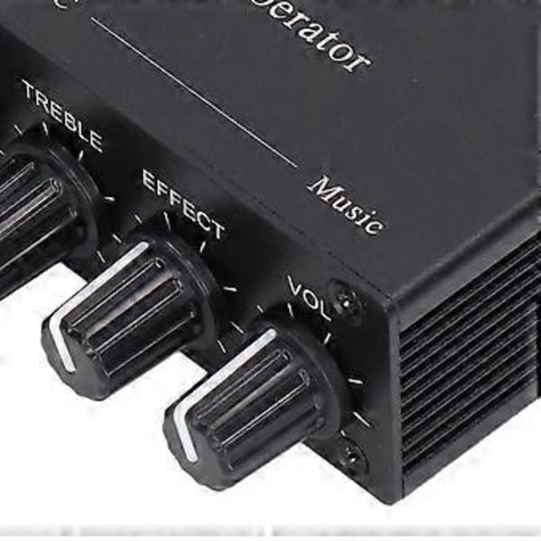 Digital Reverb Stereo Förstärkare Bluetooth 5.0 Dubbel Mikrofoningång DC 12V