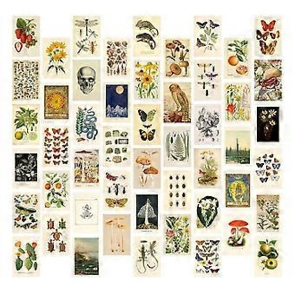 Vintage Estetisk Väggcollage Kit - 50 Mini Botaniska Collage Konst Affischer (4X6 Tum), för Fotovägg