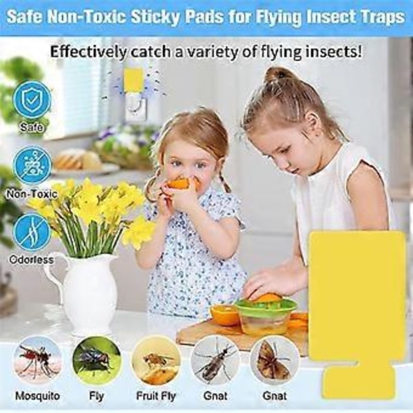 24-pack Inomhus Plug-in Flugfälla Refill Limkort, Icke-flygande Insektsfångare, Dubbelsidig Sticky Trap Refill Kit