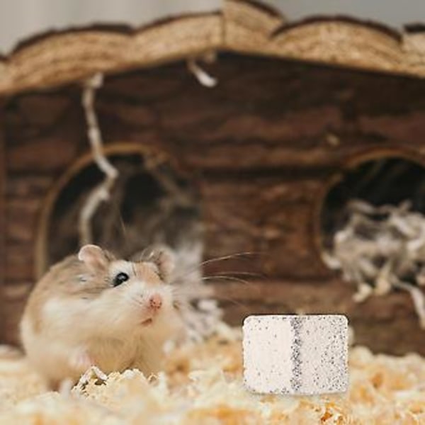 20 st Molar Hamster Chinchilla Kanin Lavablock Molarsten Hamster Litet Husdjur Bitresistent Kub