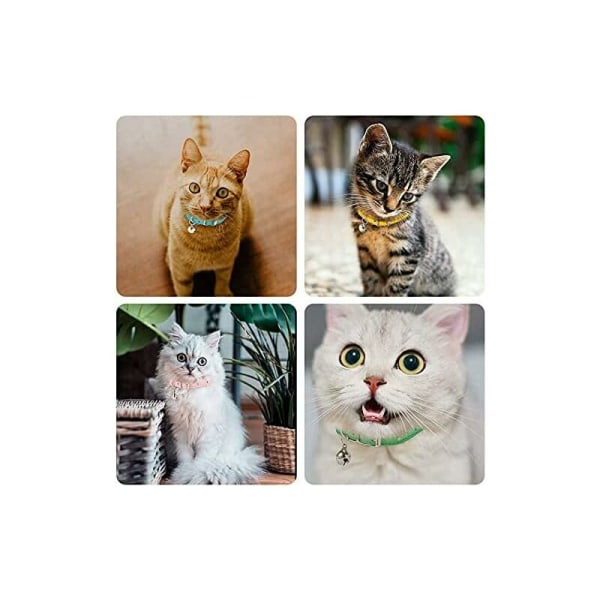 Läderhalsband för katt, justerbart 7,5\"-11\", katthalsband med klockor, svart, Fei Yu