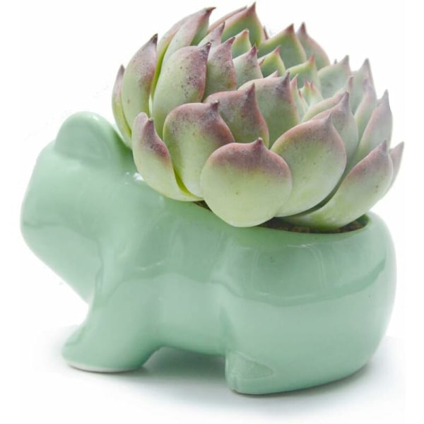 DIY Blomkruka Söt Keramik Konst Krukor Hem Dekorativ Keramik Konst Vas Grön-Fei Yu