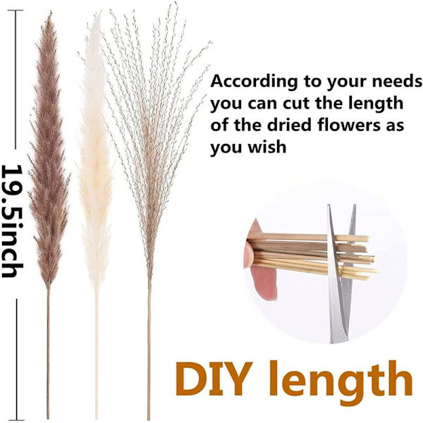 66 stk. tørret pampasgræs med 3 farver fluffy svingende DIY boho plante dekorativ blomsterbuket