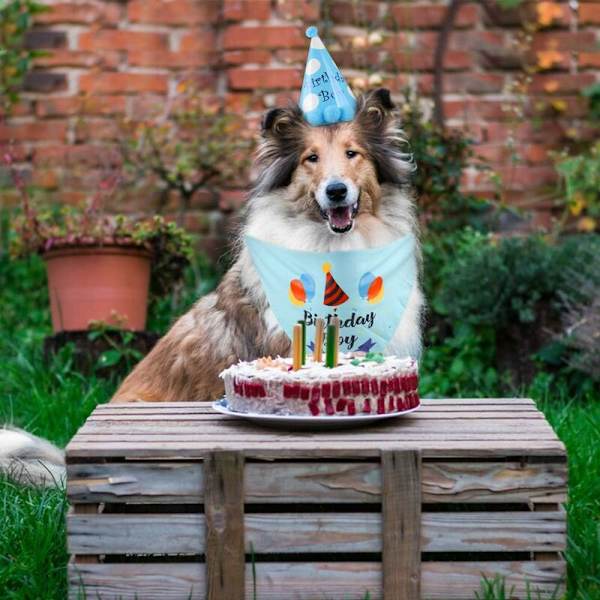 Syntymäpäiväkoiran bandana, koiran syntymäpäivähatulla, koiran bandana-juhlahattu puuvillakolmio bandana syntymäpäiväkoristeet Set-Fei Yu