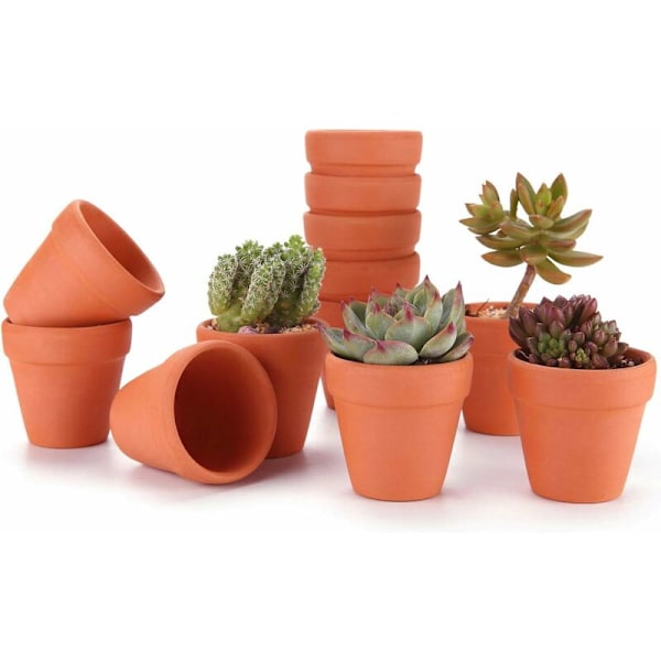 12 st inomhus/utomhus blomkrukor 8 cm miniterrakotta kruka för kaktus suckulenta växter blomsterodling dekoration bröllopsfest