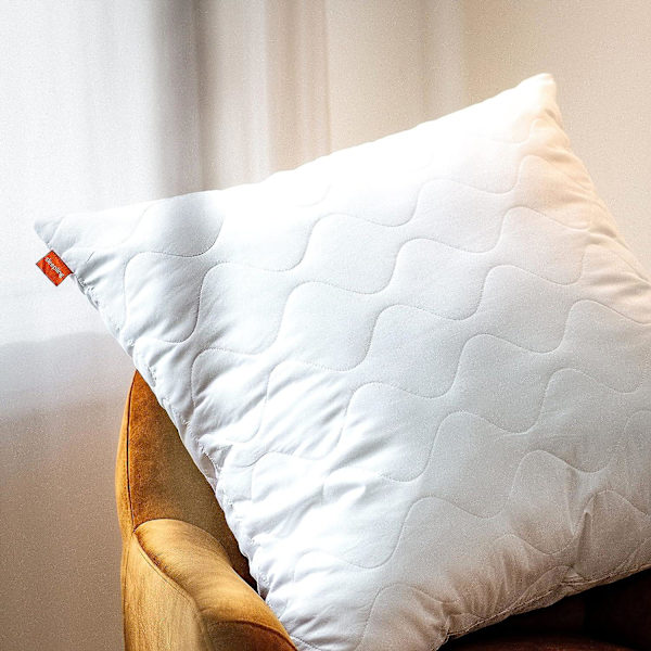 Set med 2 mikrofiberkuddar 65 x 65 cm, vit