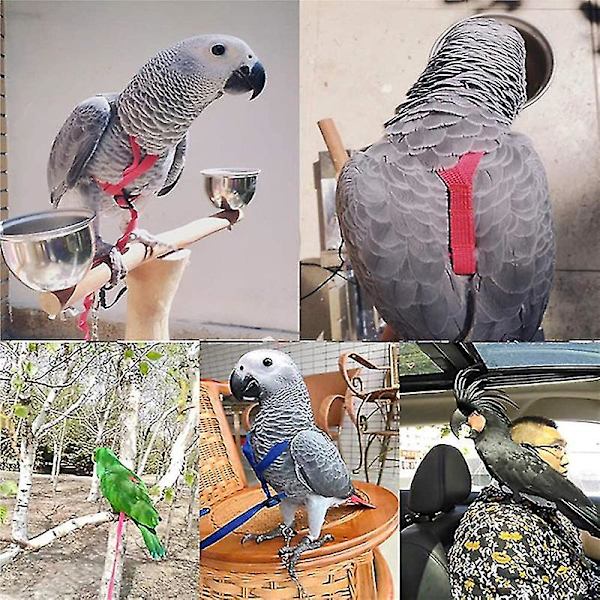 Fgelsele Justerbart Papegojkoppel Fgelrep Anti Bite S